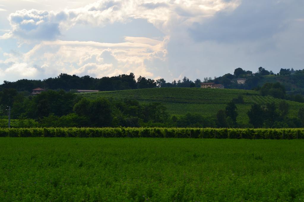 Bed And Breakfast Villa Novella Crocetta del Montello Exterior photo